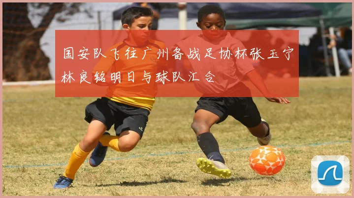 国安队飞往广州备战足协杯张玉宁林良铭明日与球队汇合